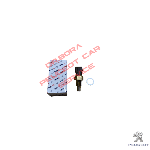 Peugeot 106 - fan müşürü kahverengi