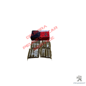 Peugeot 106 - Subap Kaydı GTi