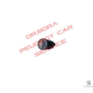 Peugeot 106 Çıkma Parça - Arka Cam Rezistans Tuşu